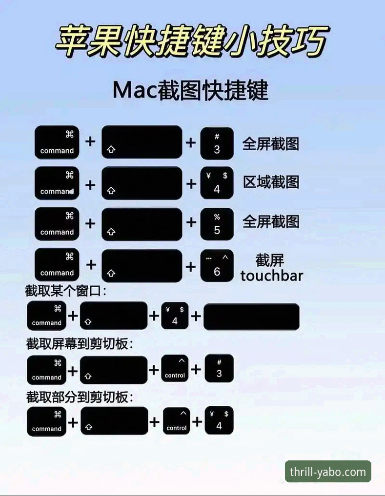 5个关键维度解析yabo苹果版：从注册到进阶的完整指南